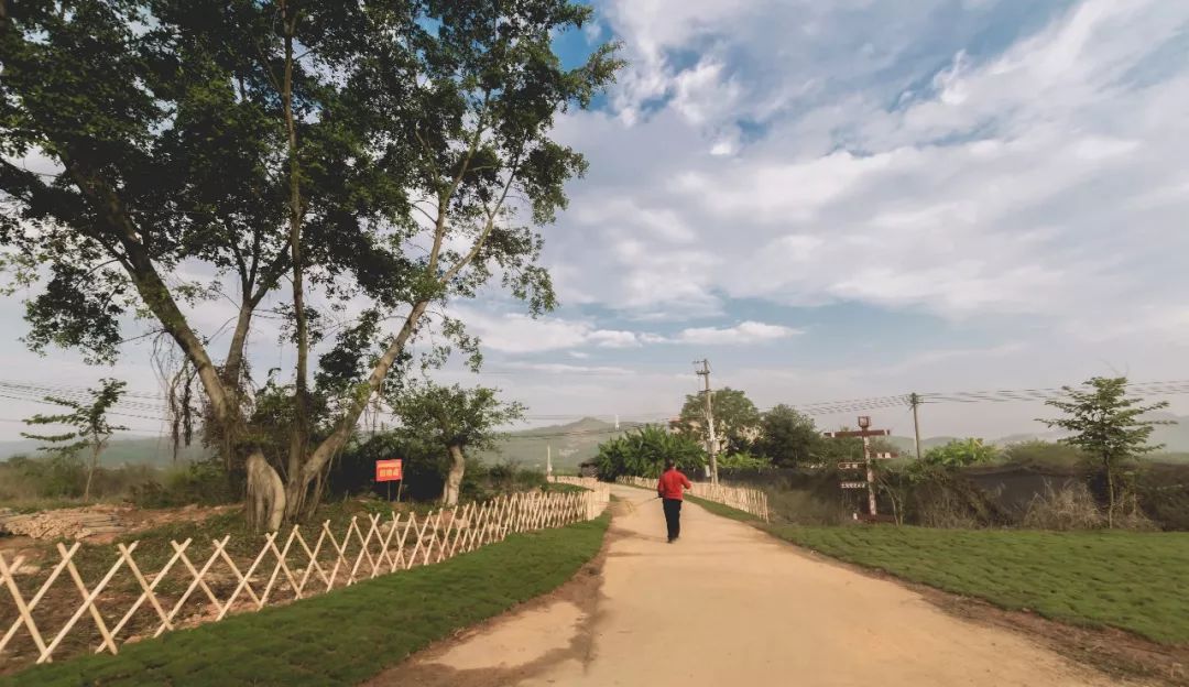 龙岗王屋村—传统村落的美丽蝶变