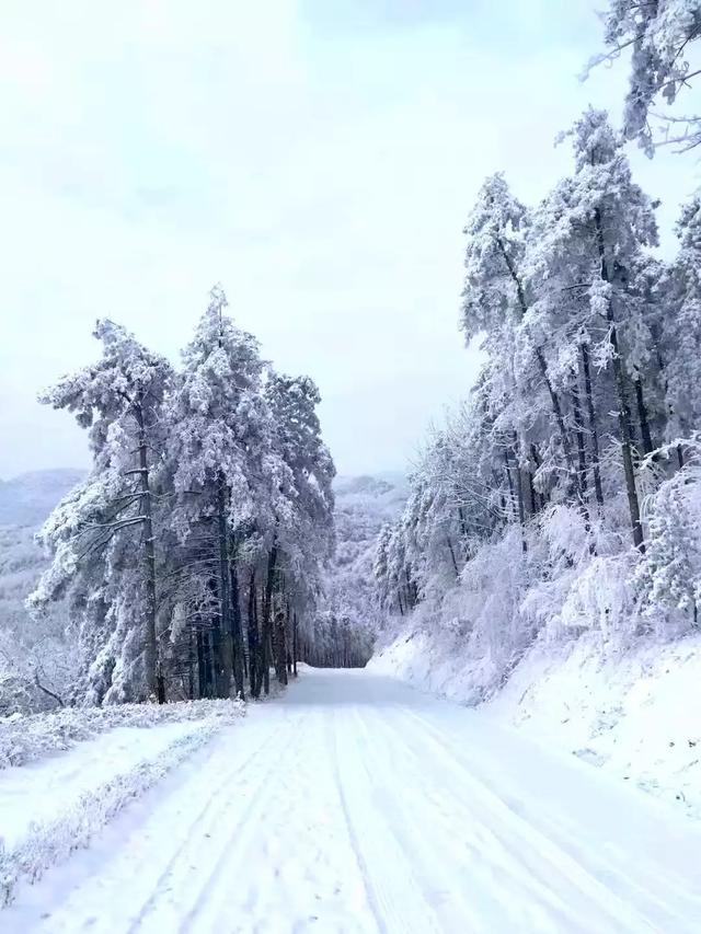 太美了通江各地雪景惊艳来袭