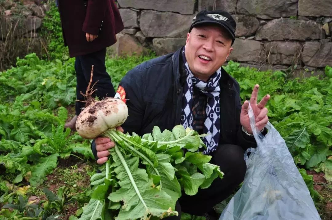 赶水草蔸萝卜消费季今日启动众多精彩提前知