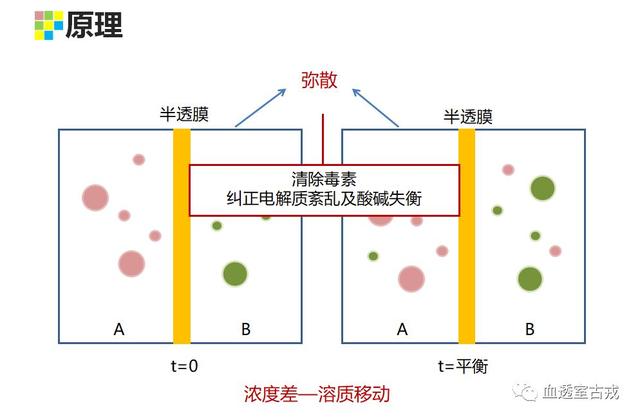 血液透析对流图片