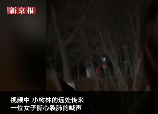 小樹林傳來女生撕心裂肺的喊聲學校回應男女朋友吵架