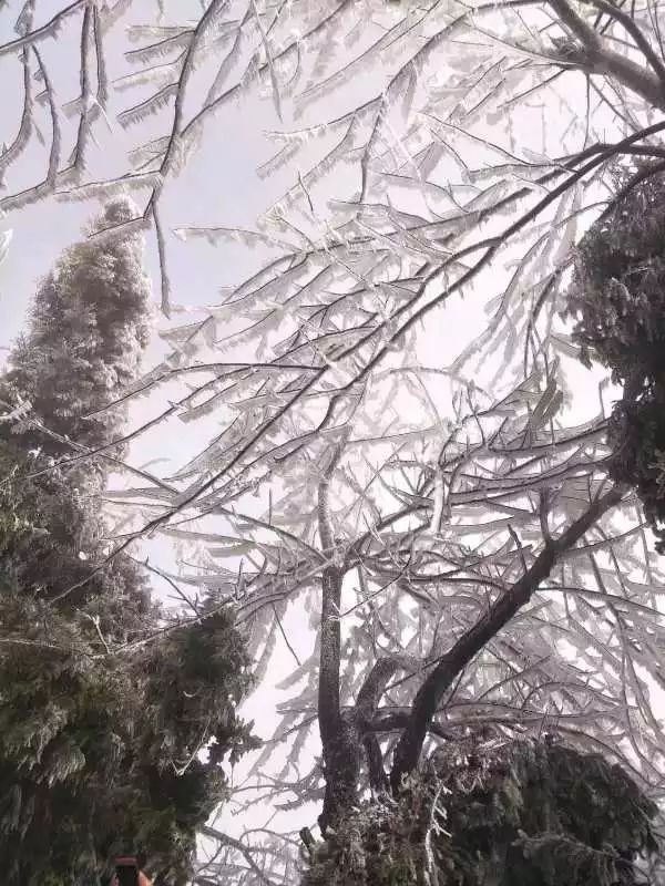 赣县宝莲山雪景图片