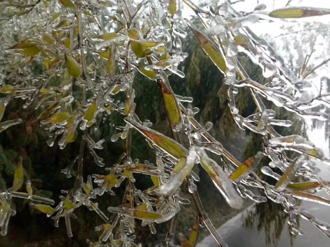 零下1下週東鄉第一場雪要來了