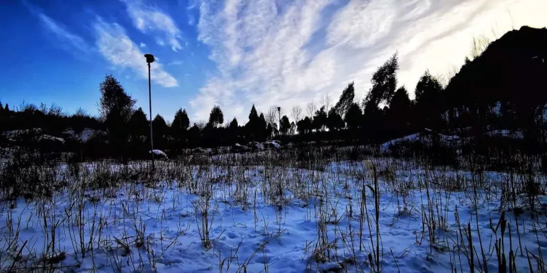 【點贊】他們才是王莽嶺雪景裡最值得讚的風景!