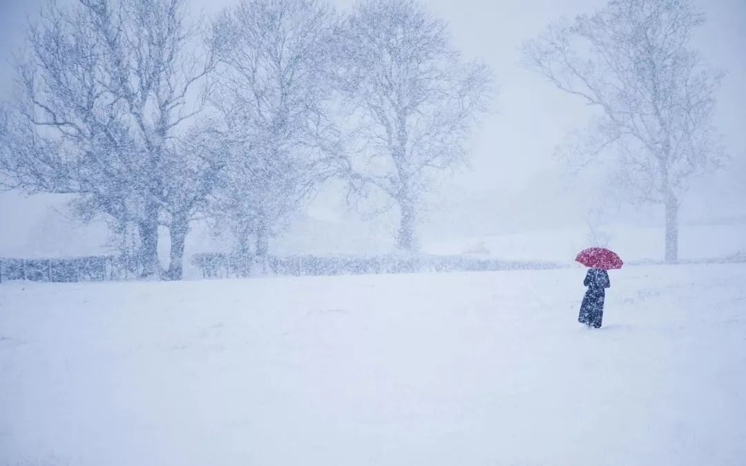 夜深知雪重时闻折竹声