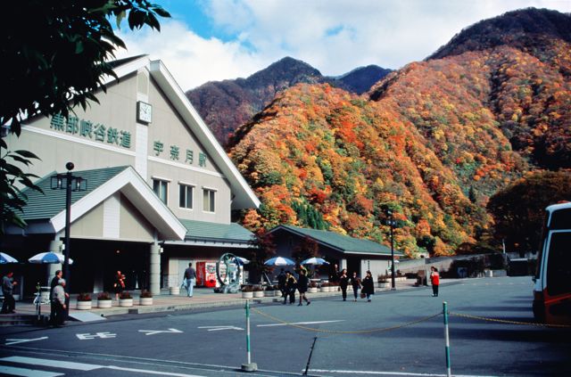 日本富山县黑部峡谷红叶正浓 游客纷至沓来