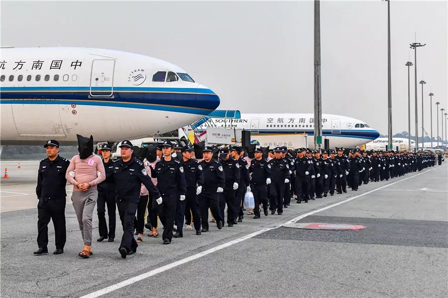 抓滿3架飛機233個公檢法詐騙嫌疑人柬埔寨被抓涉案6300萬