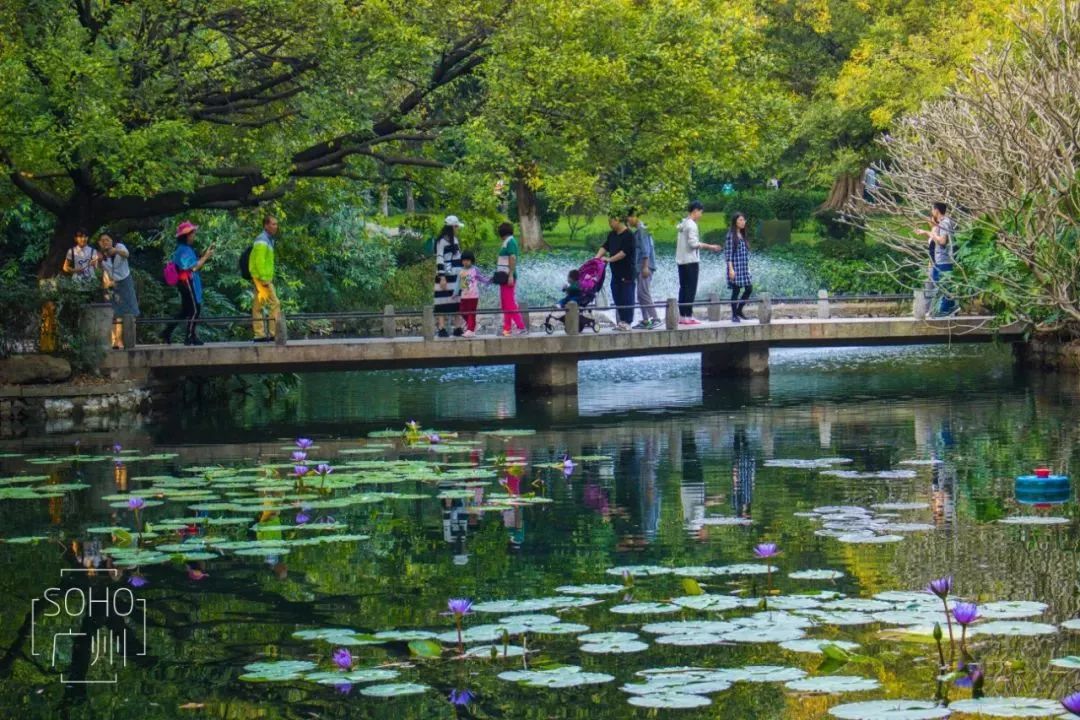 還有廣州雕塑公園,曉港公園,云溪生態公園,醉觀公園,……廣州人就