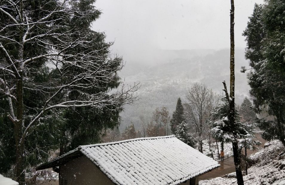 唱歌(通江县卫计局景江 提供)空山镇(据网友)通江县雪景长赤镇(据网友