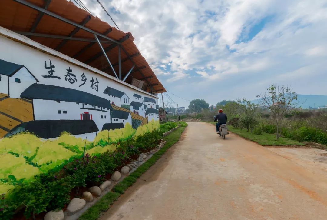 龍崗王屋村——傳統村落的美麗蝶變