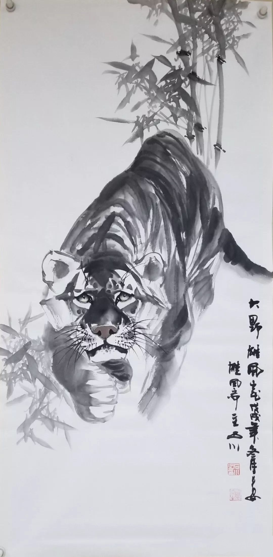 石川画家 老虎图片