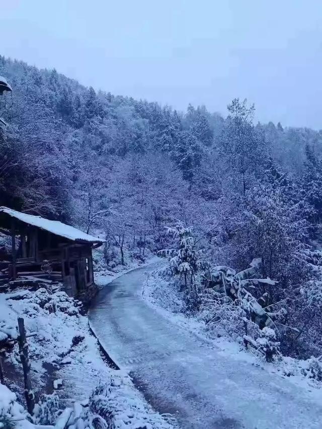 通江各大乡镇雪景美如画你的家乡下雪了吗