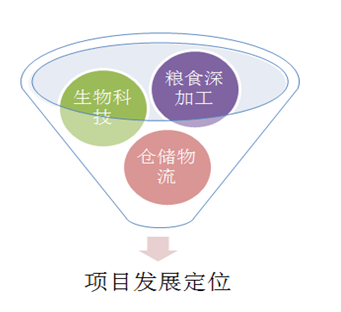 生物技術糧食深加工倉儲物流項目可行性研究報告參考模板