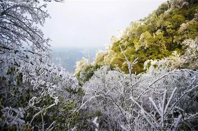 ▼廣西這些地方雪景美不管下不下得成雪先提供幾個適合看雪的地方給