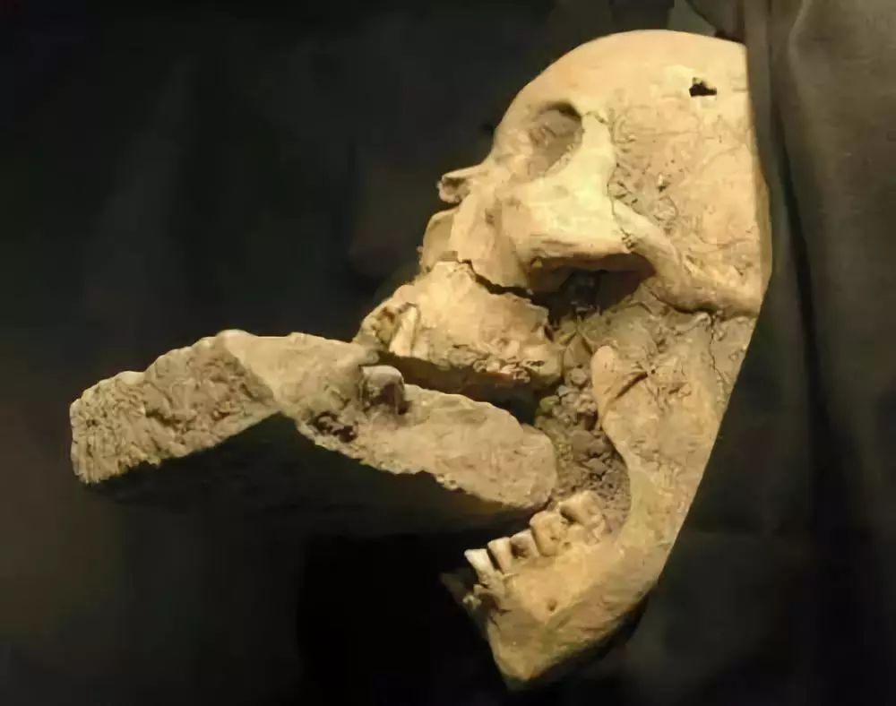 一部纪录片揭开吸血鬼起源可能就是背锅的巨人观尸体