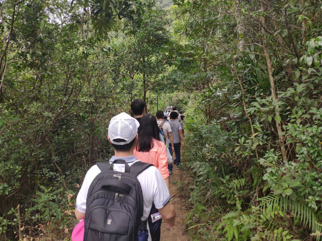 01育才二小勇登马峦山一日游_登山