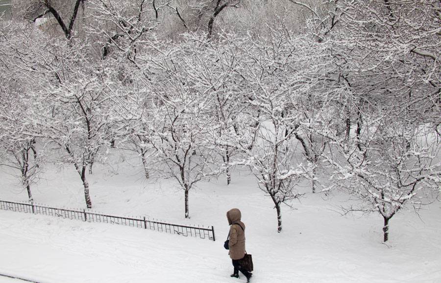 专栏诗人雪里一个人独行文草原狼河北