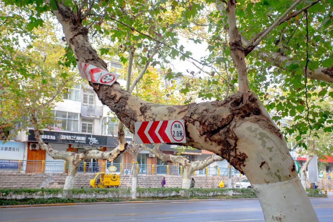 芜湖路,83年,谢谢你!_合肥人