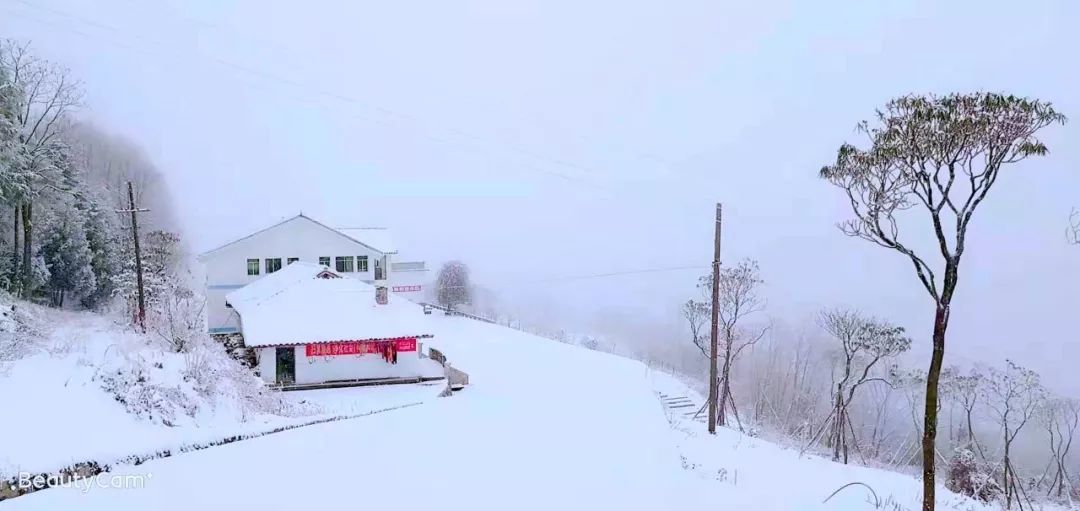 太美了通江各地雪景惊艳来袭