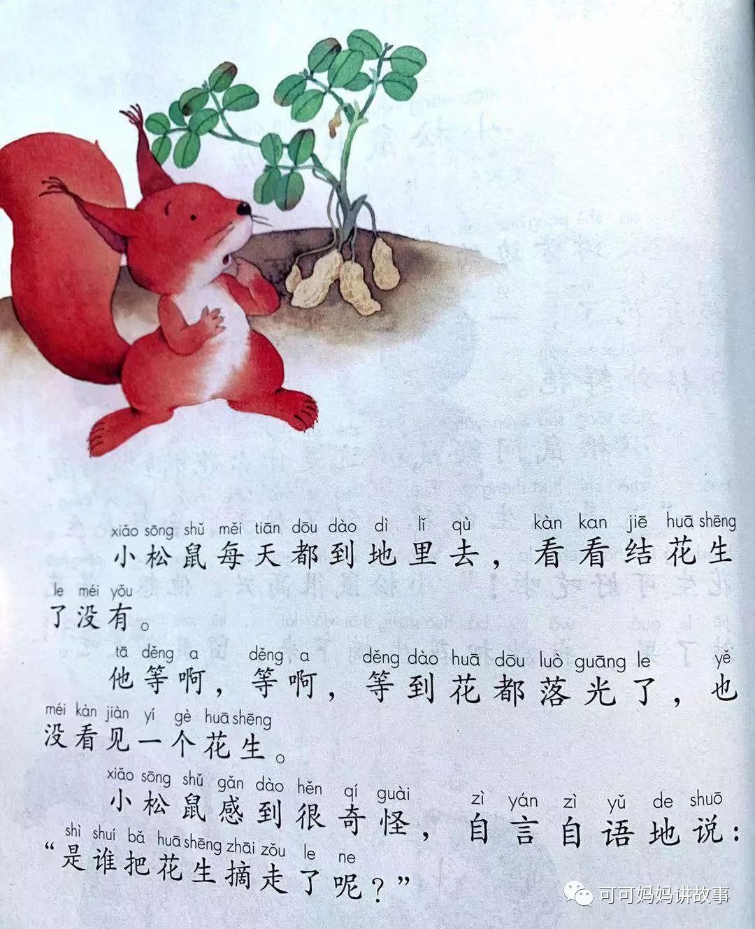 小松鼠找花生课文图片