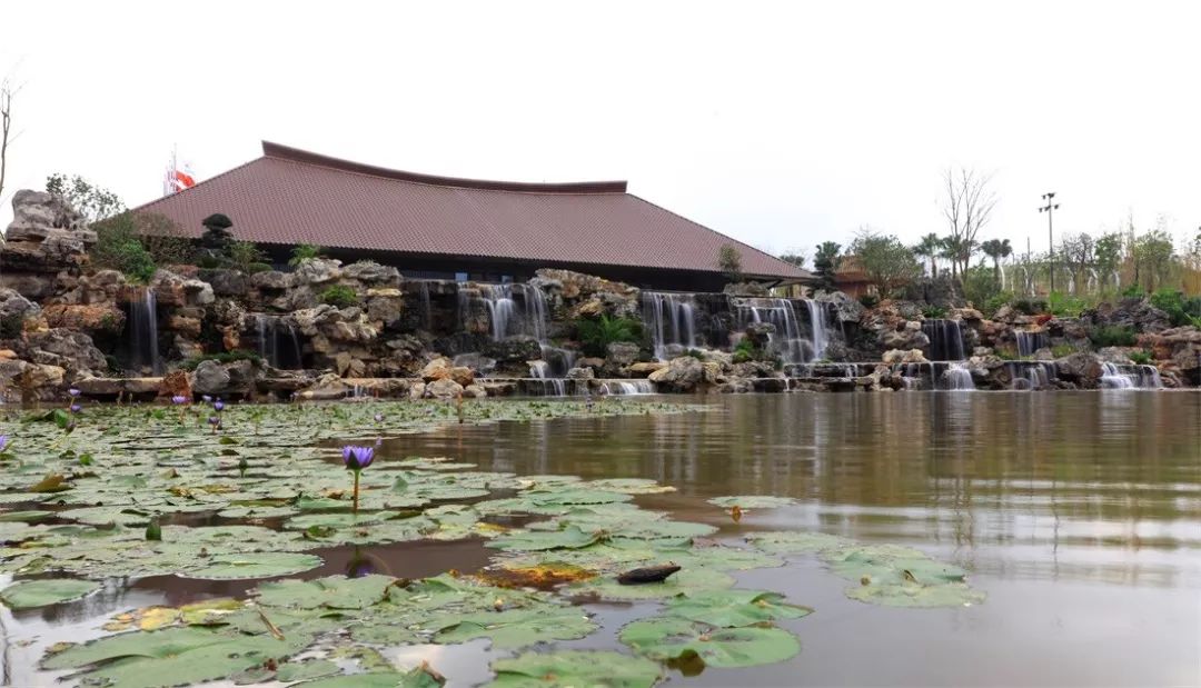 【人文動態】仙境初開,芳華絕代——人文園林參建的南寧園博園正式