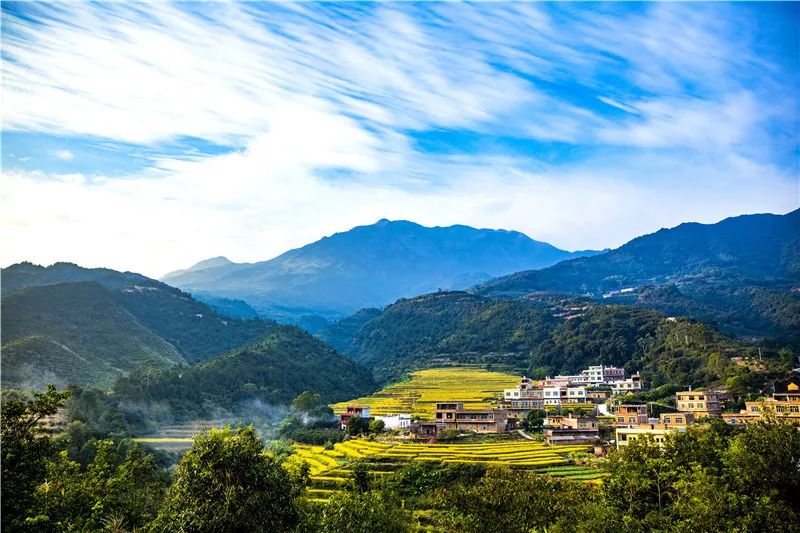 平和大溪镇图片