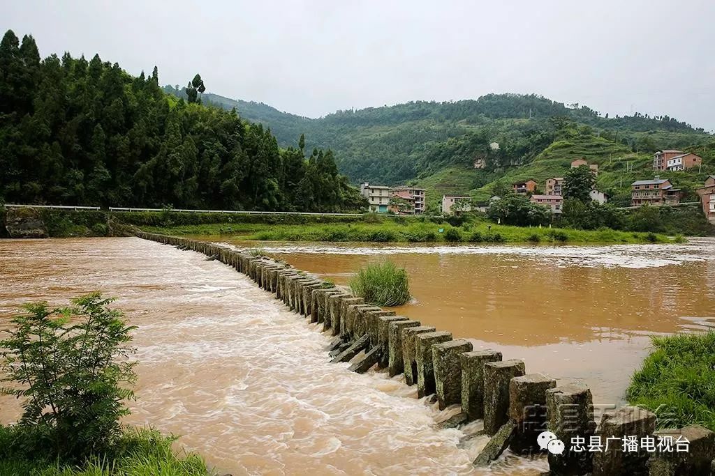 玩轉忠州跳蹲橋猶若一排排琴鍵鑲嵌在河床裡