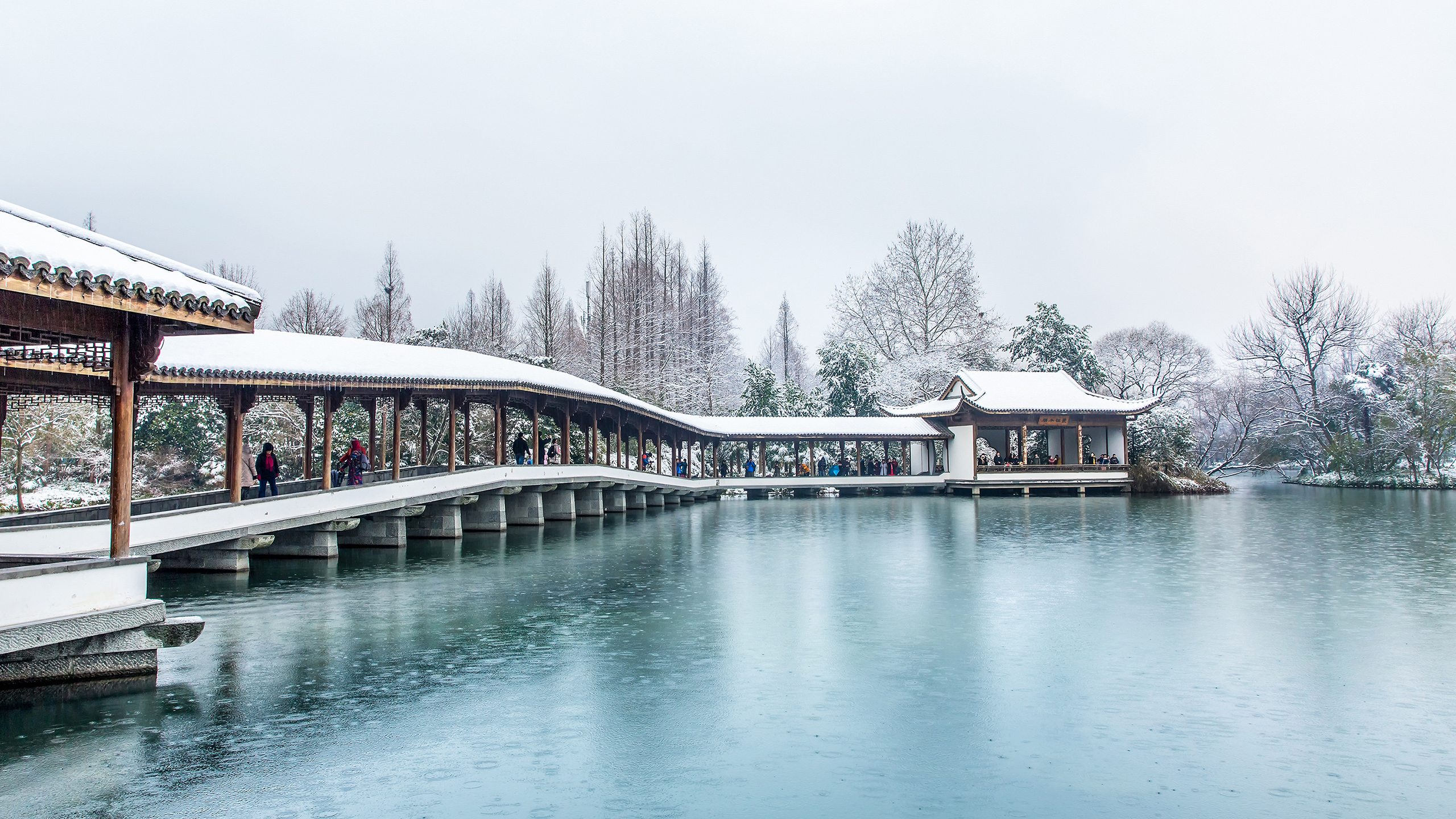 杭州降雪了所以不能错过的地方当然是往年的西湖