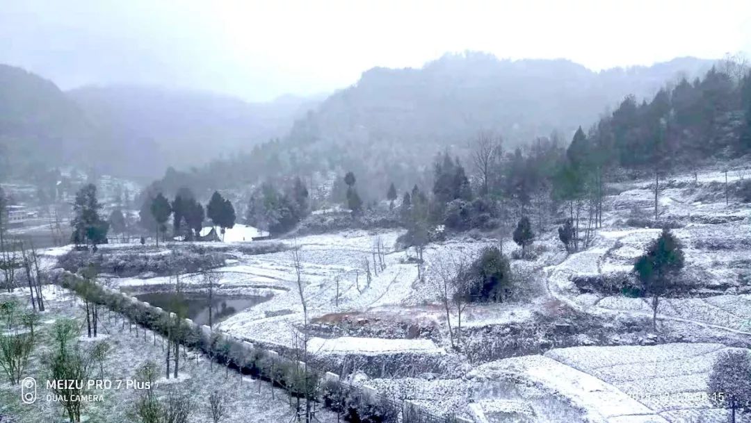 太美了通江各地雪景惊艳来袭