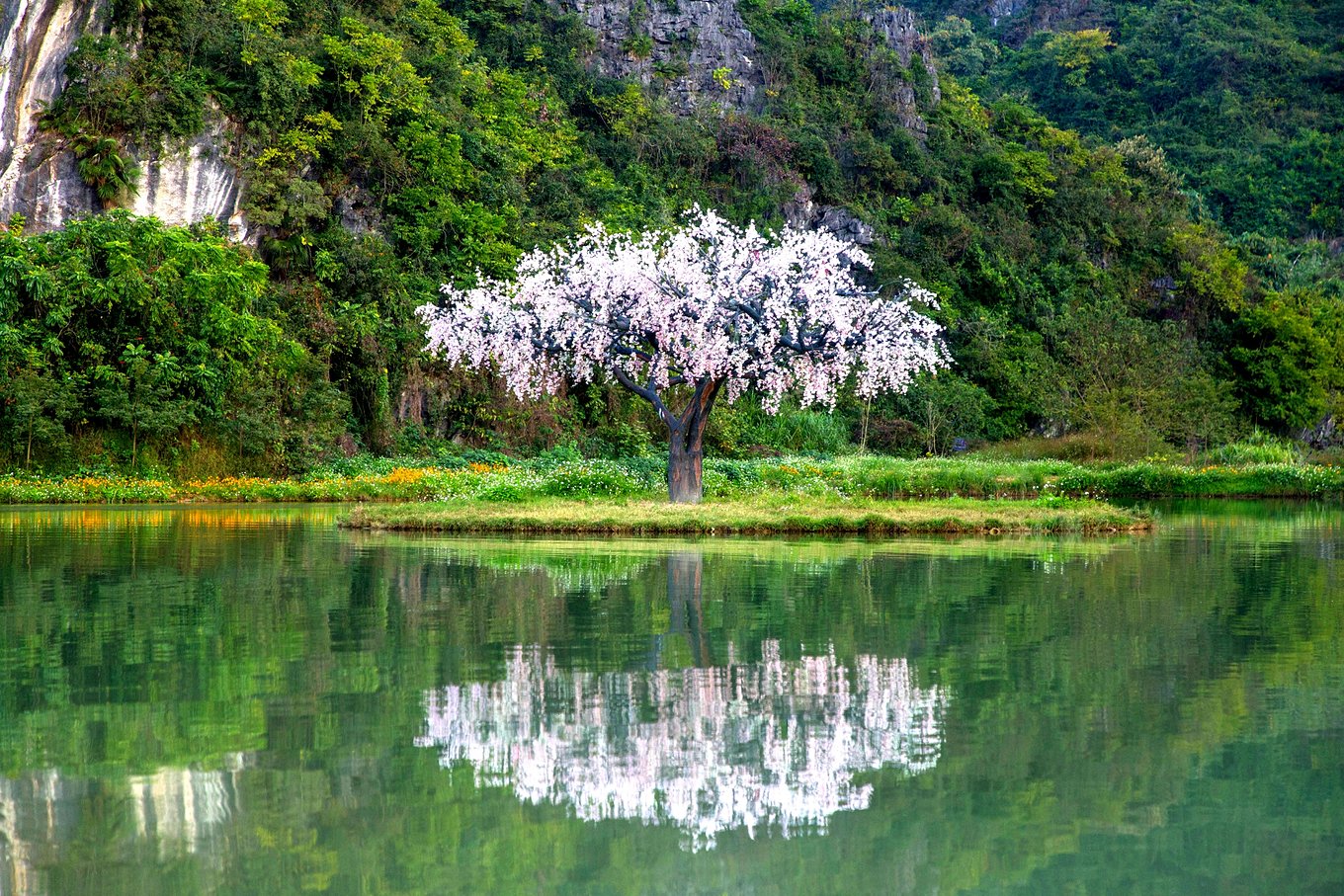 英西峰林胜境:云雾缭绕的盛世美景 英西峰林胜境是整个峰林走廊的核心