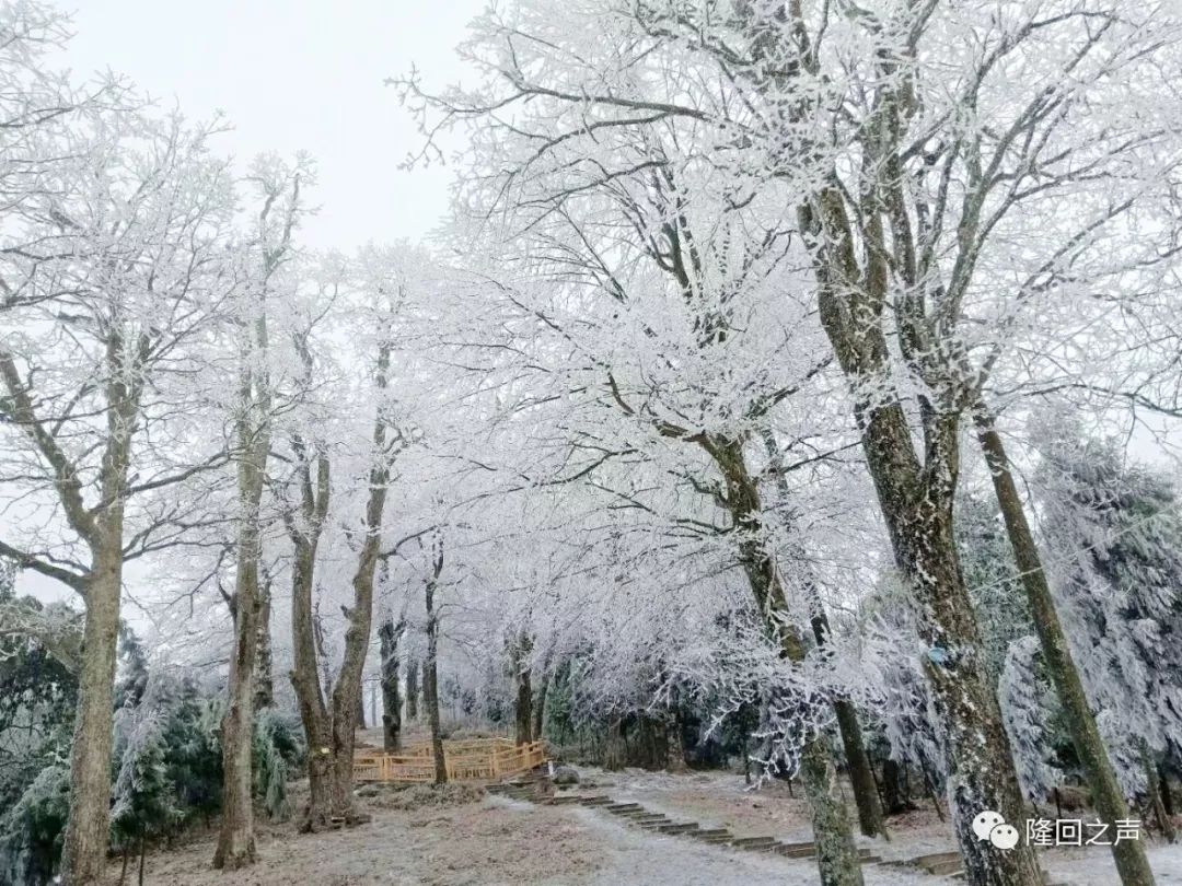 隆回迎来今冬第一场雪!_沙江