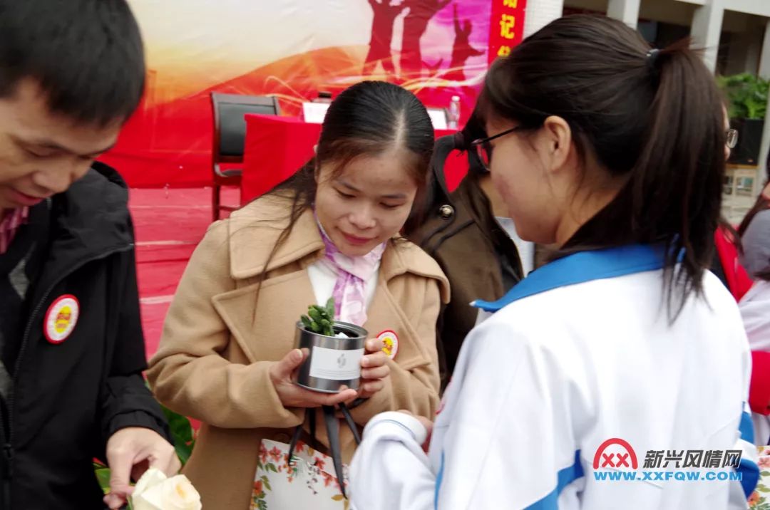 新兴县惠能中学校花图片