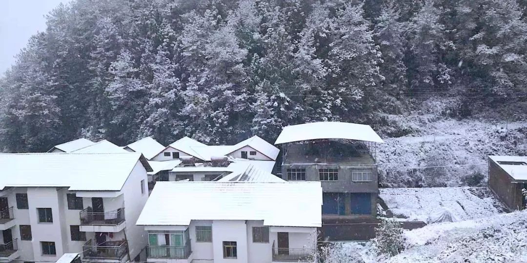 太美了通江各地雪景惊艳来袭