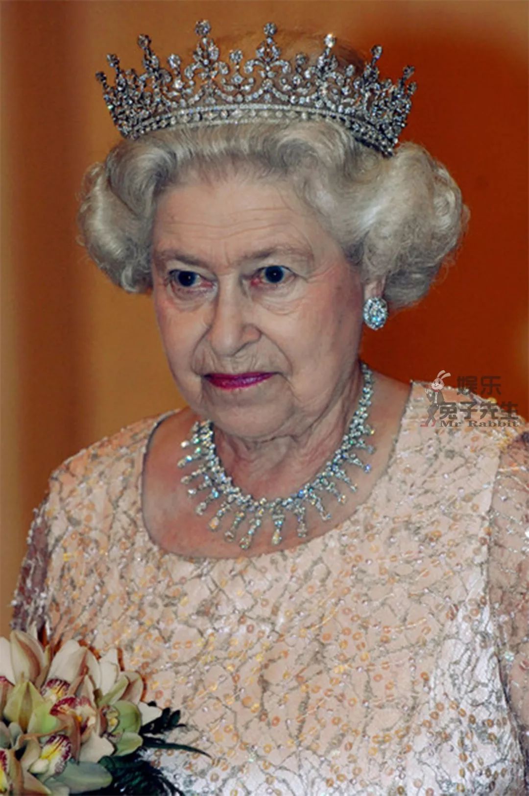 伊丽莎白女王已经在位66年,成为英国历史上在位时间最长的君主,她并不
