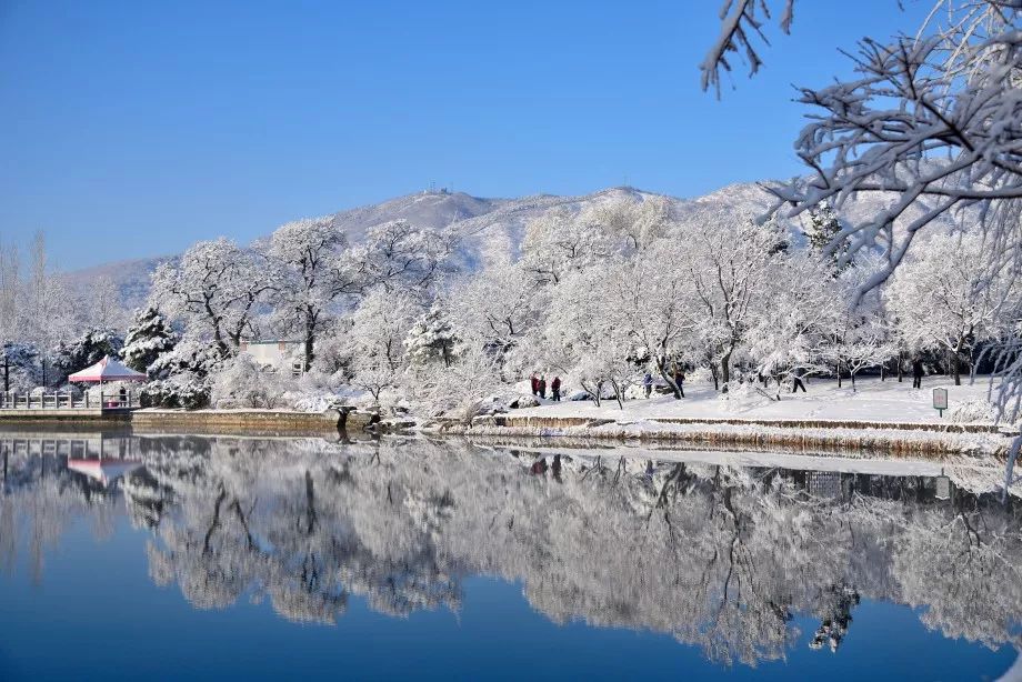 今年冬天,北京最美的一场雪,在这里!