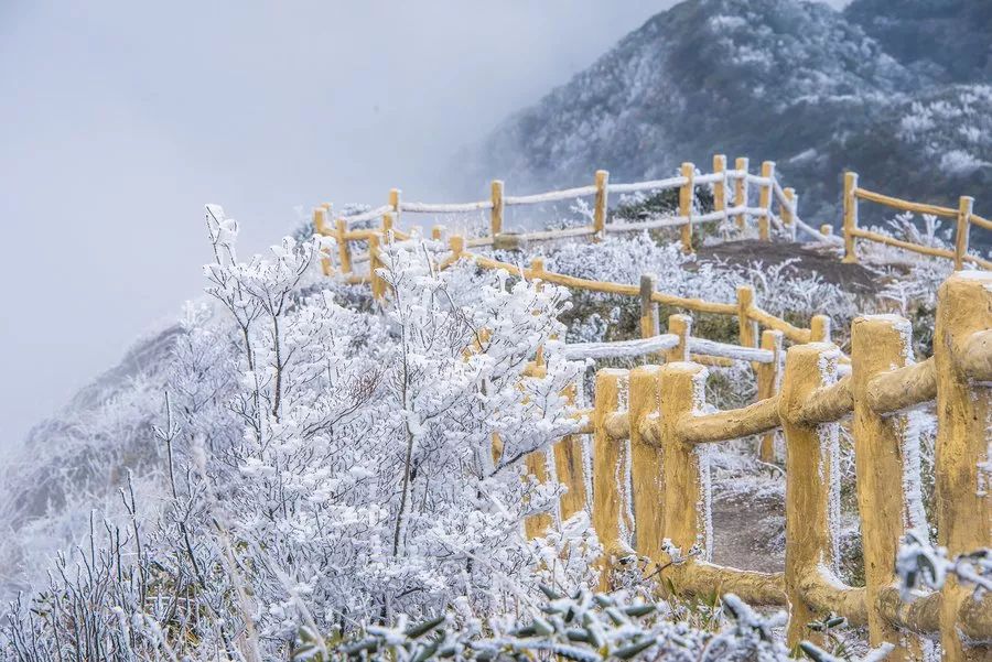 全州黄花岭雪景图片