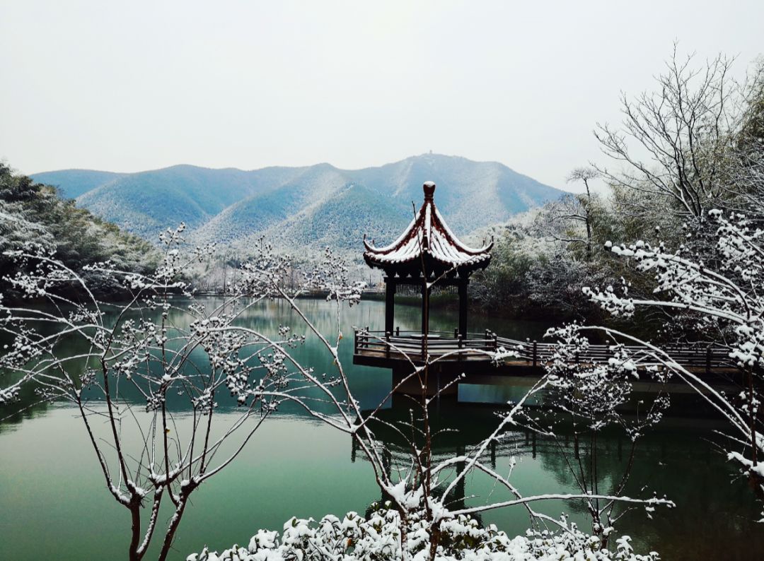 宜兴竹海雪景图片