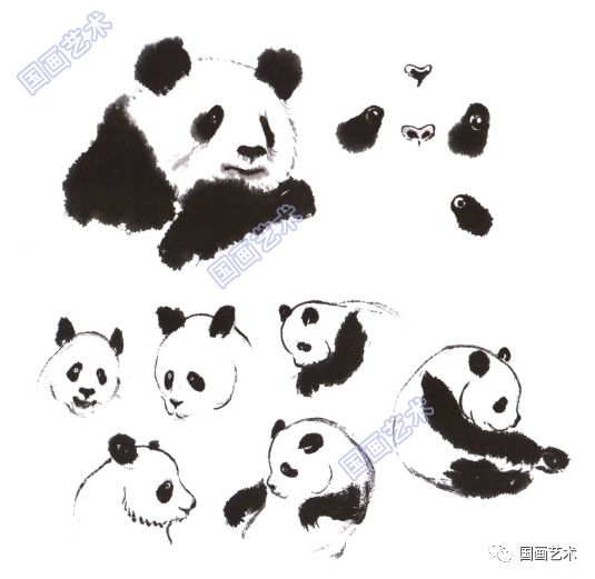 图文教程:大熊猫的画法