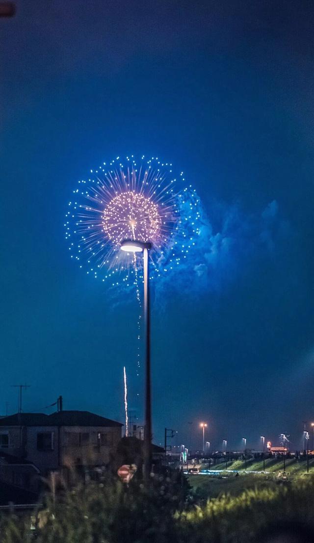 煙花壁紙百毒不侵怕入你心