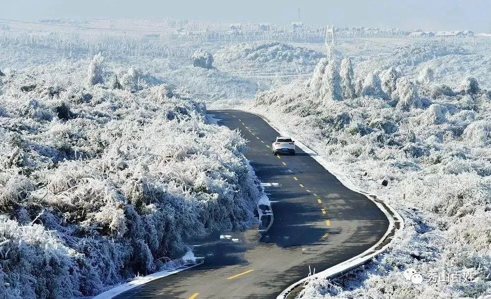 重庆秀山川河盖雪景图片