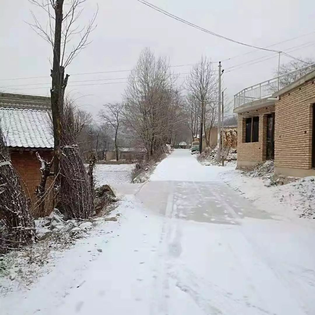 多圖:今日西和鄉村雪景