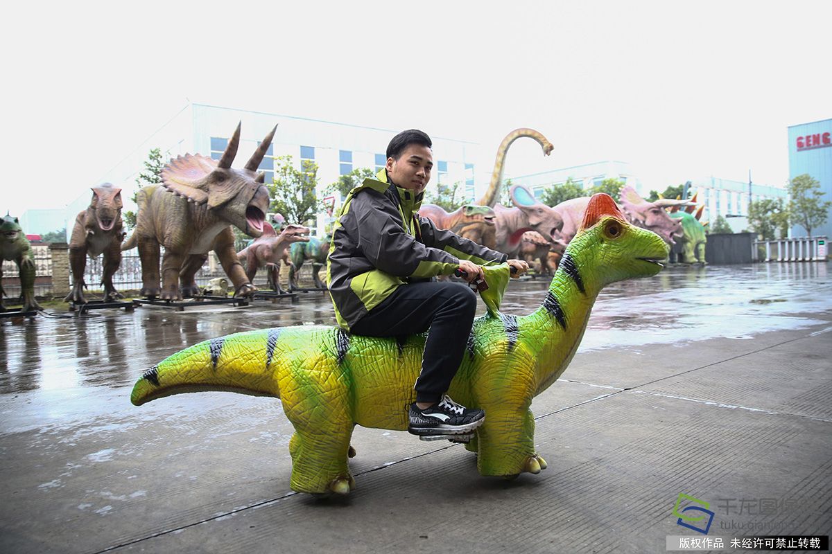 12月8日,四川省自贡市一家仿真恐龙生产企业展示的成品仿真恐龙(图片