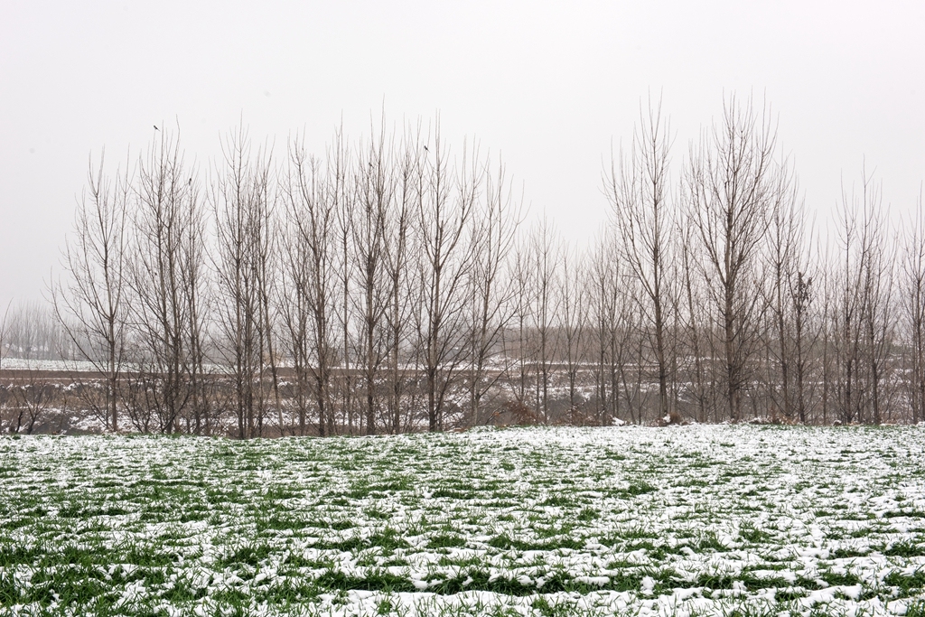 下雪天田野里的场景图片