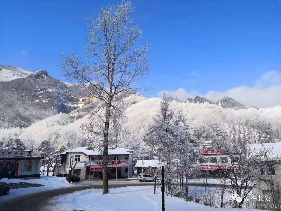 这才是西安最美童话,今日秦岭g210雪景南山美如画!