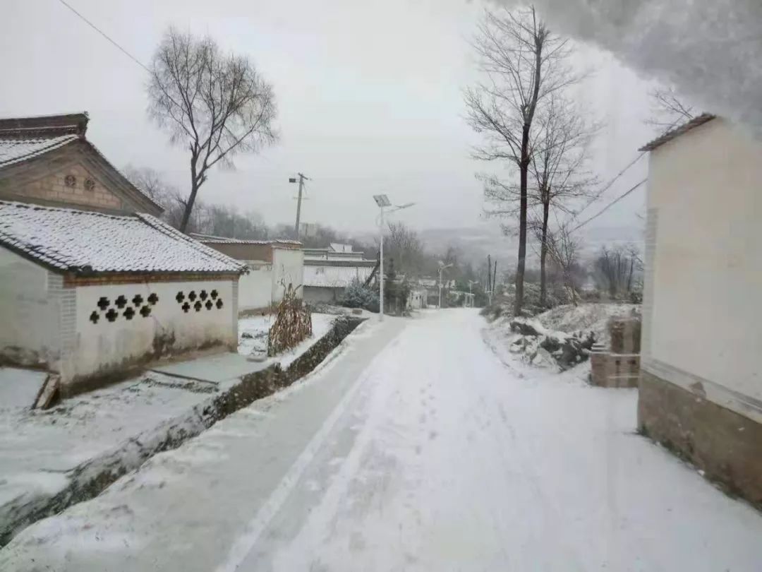 多圖:今日西和鄉村雪景