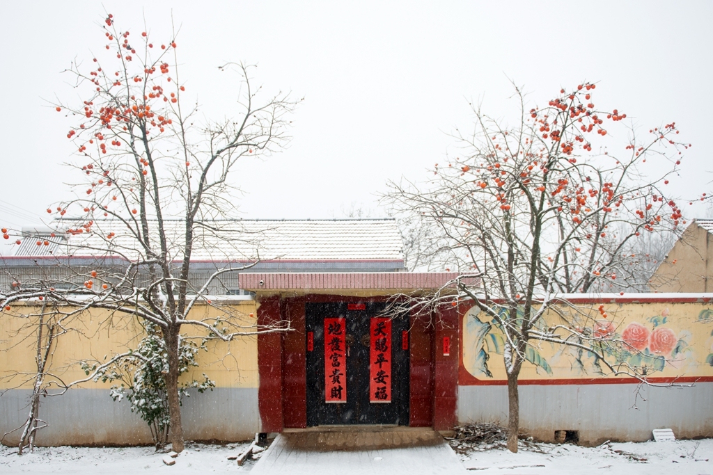 北方农村过年雪景图片图片