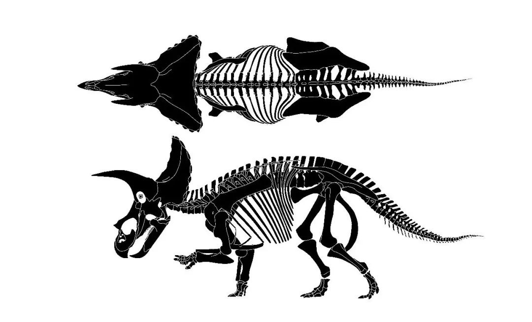 讲座丨穿越到6600万年前,赵闯和杨杨带大家探索恐龙的秘密