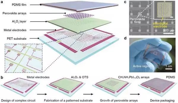 圖二 柔性pd陣列的結構和製造工藝(d,e)pet襯底上具有不同幾何形狀和