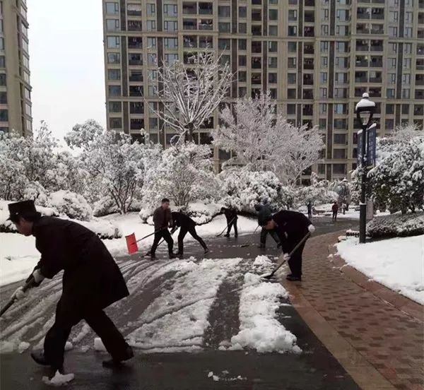 杭州入冬首迎大雪飛舞,濱江物業人日夜掃雪,業主愛心湧動,這是美雪暖