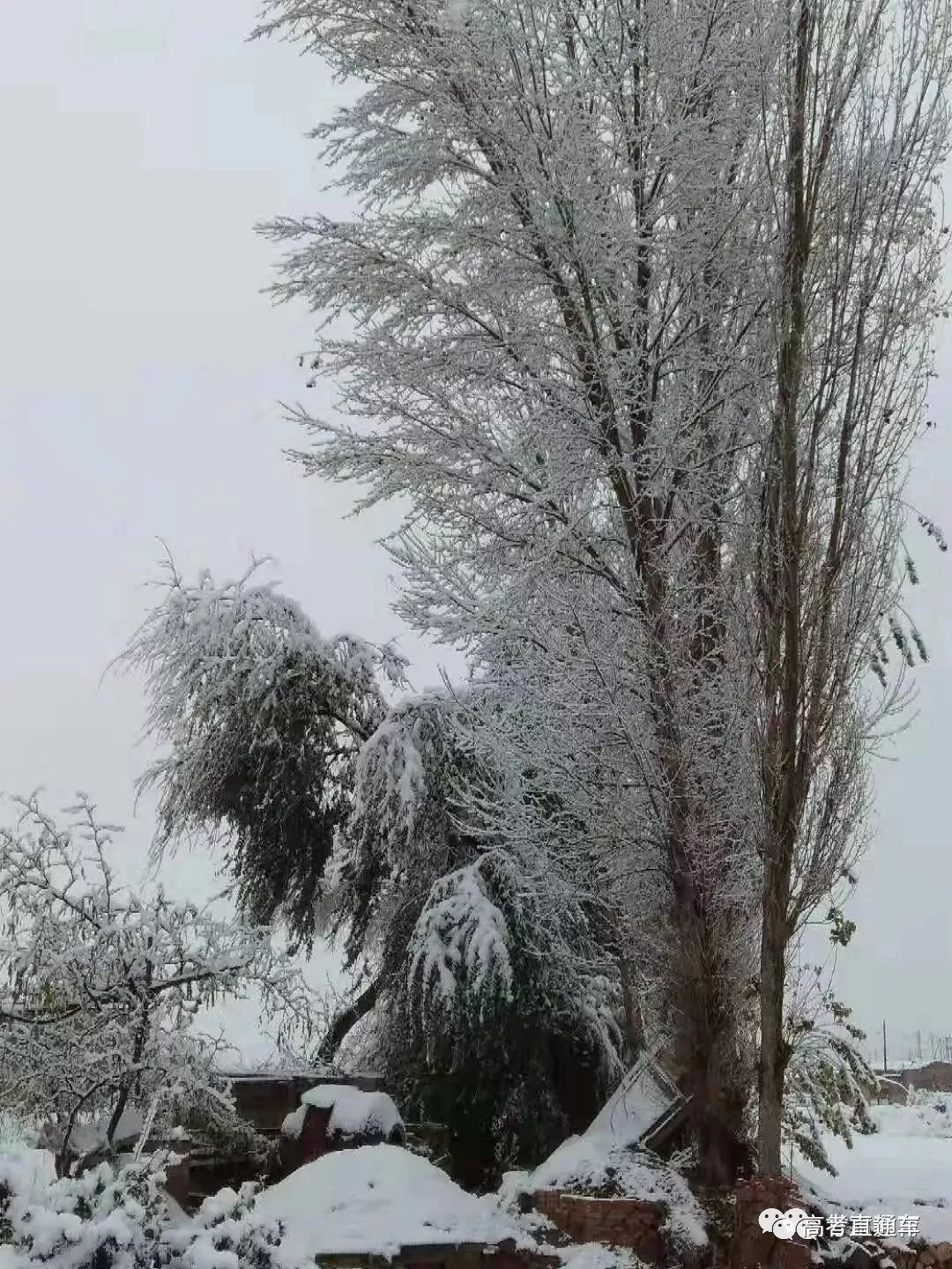 最美雪景圖預警全國高校2018年的第一場雪羨慕死南方人